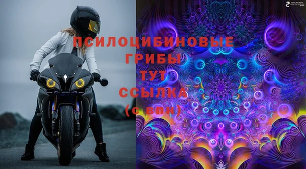 PSILOCYBIN Арсеньев