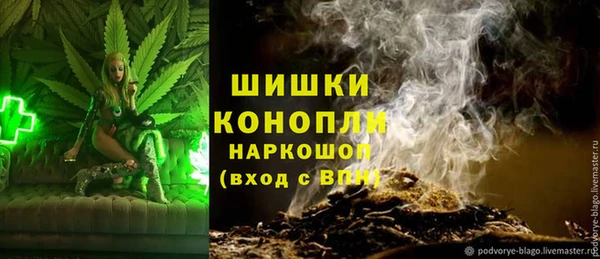 PSILOCYBIN Арсеньев
