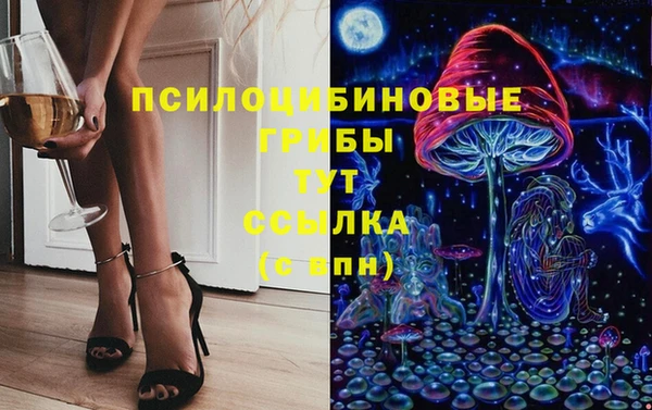 PSILOCYBIN Арсеньев